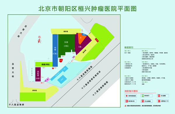 肥胖女人全黄大片北京市朝阳区桓兴肿瘤医院平面图